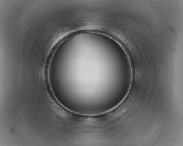 X0000112491412200908171237