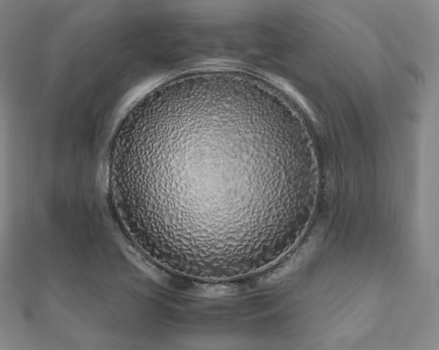 X0000112491413200908171237