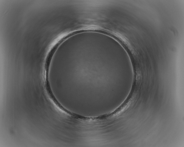 X0000112491414200908171237