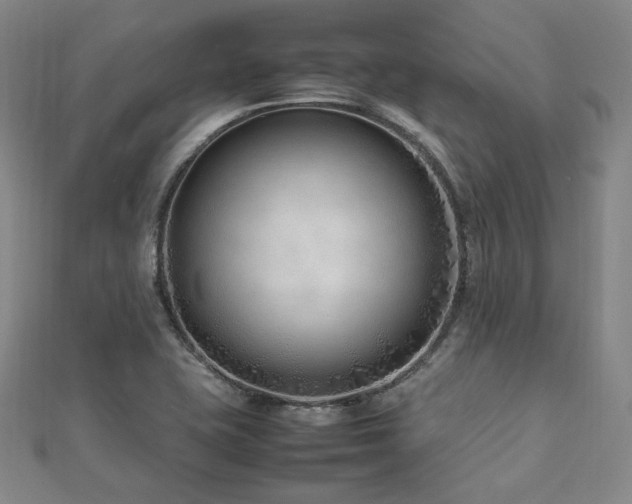 X0000112491415200908171237