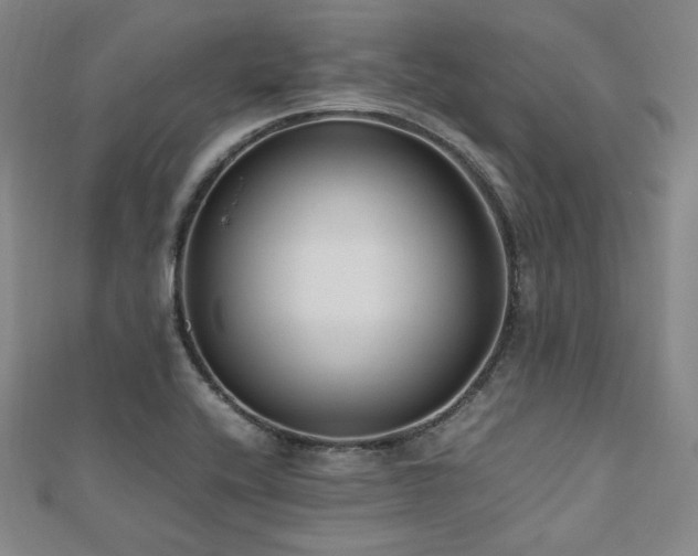 X0000112491416200908171237