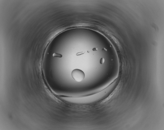 X0000112491417200908171237