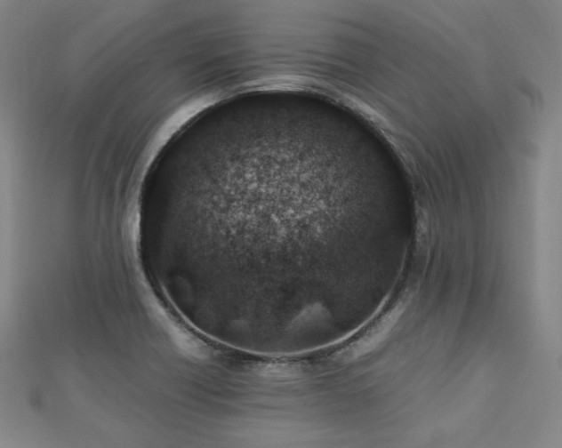 X0000112491418200908171237