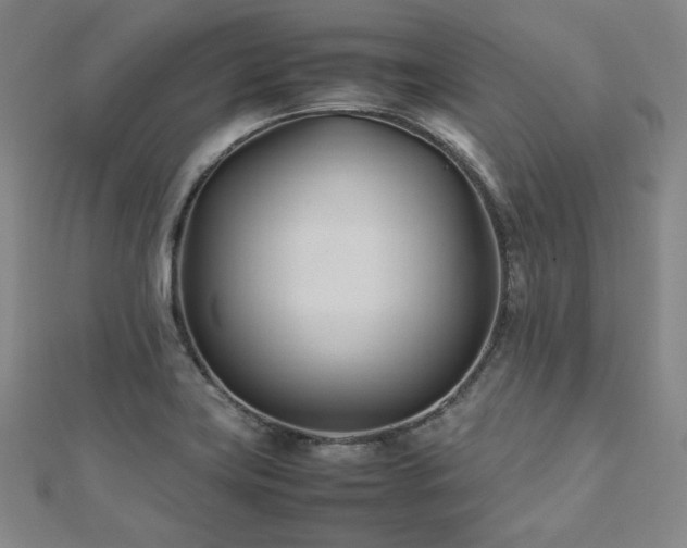 X0000112491419200908171237