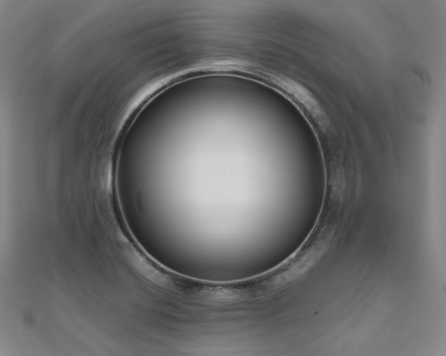 X0000112491420200908171237
