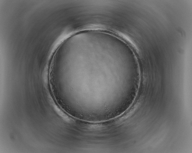 X0000112491421200908171237