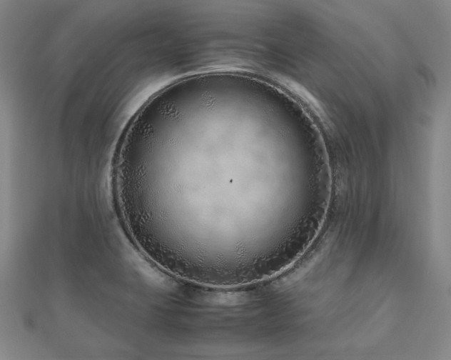 X0000112491423200908171237