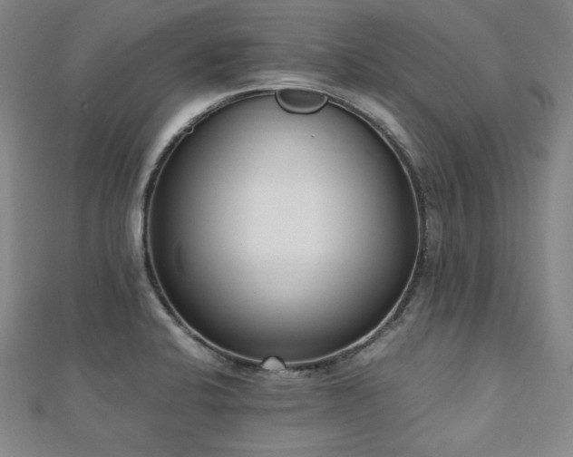 X0000112491424200908171237