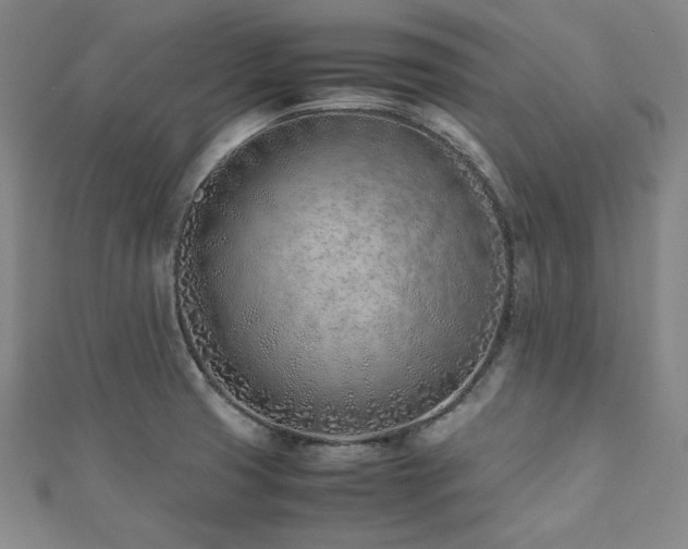 X0000112491425200908171237