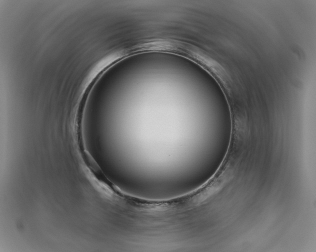 X0000112491426200908171237
