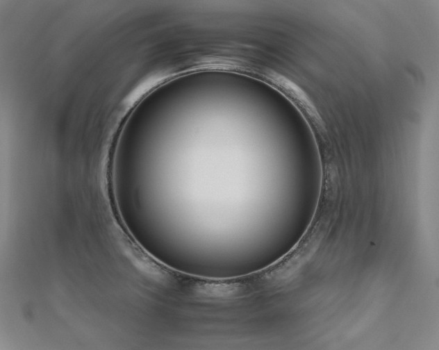X0000112491427200908171237