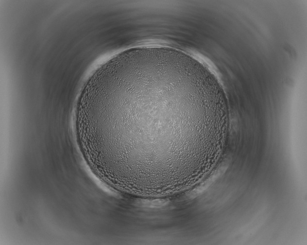 X0000112491429200908171238