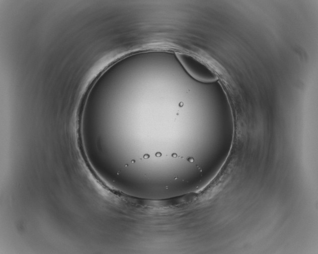 X0000112491430200908171238