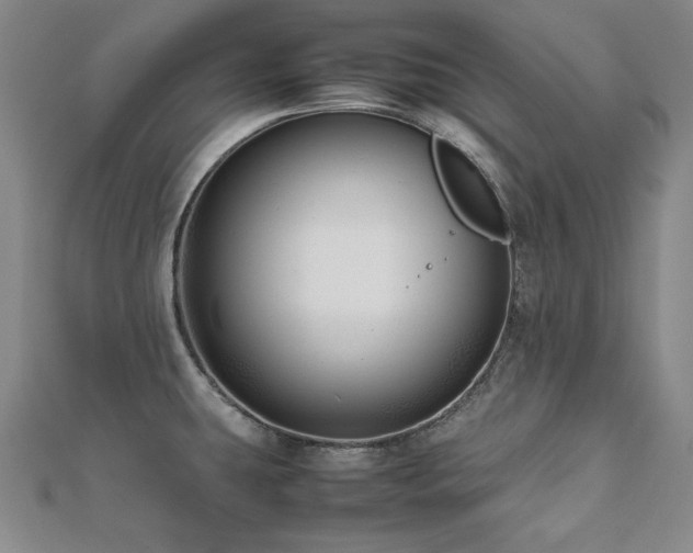 X0000112491431200908171238