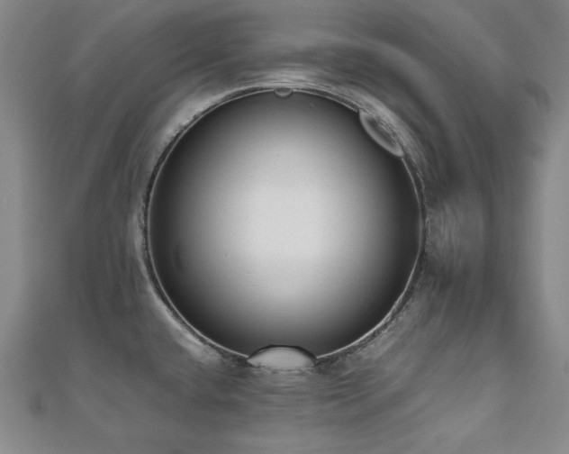 X0000112491432200908171238