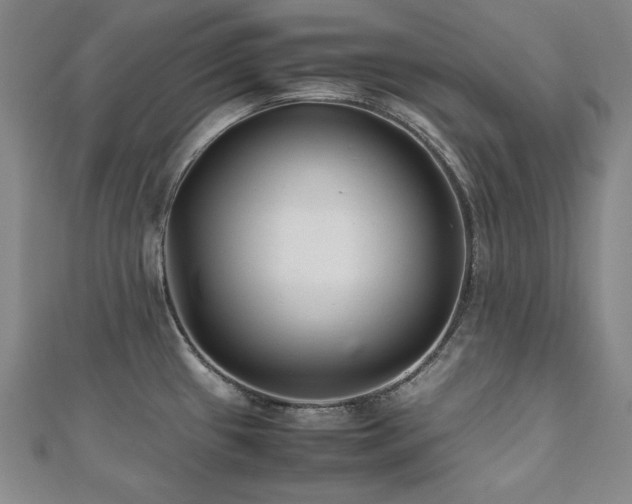 X0000112491433200908171238
