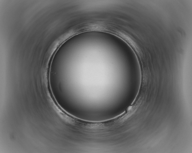 X0000112491434200908171238