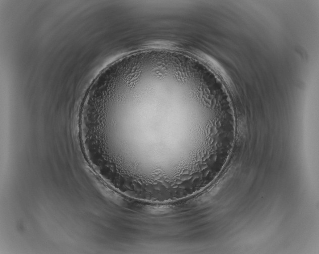 X0000112491435200908171238