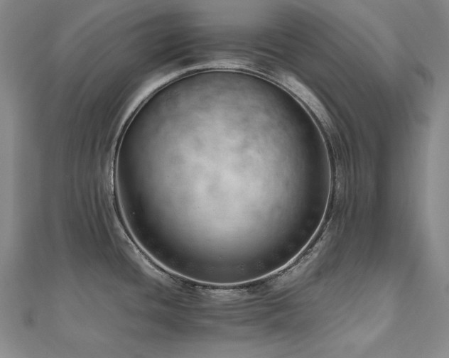 X0000112491436200908171238