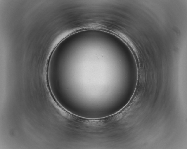 X0000112491437200908171238