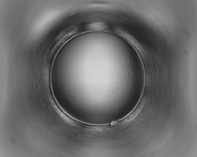 X0000112491438200908171238