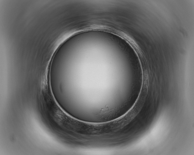 X0000112491439200908171238
