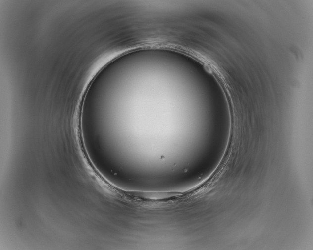 X0000112491440200908171238