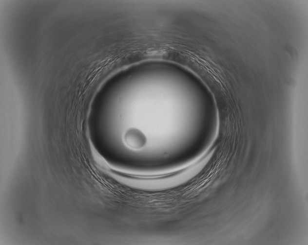 X0000112491441200908171237
