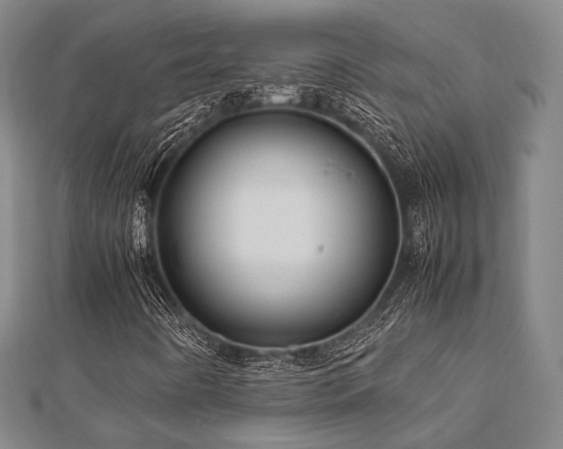 X0000112491442200908171237