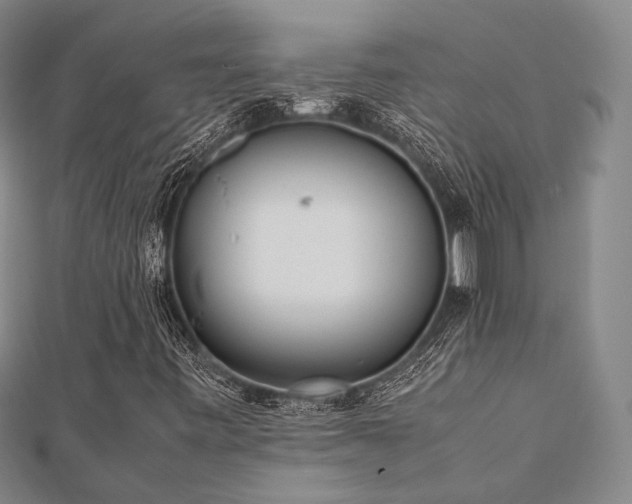 X0000112491443200908171237