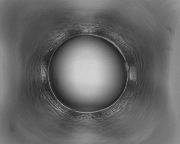 X0000112491444200908171237
