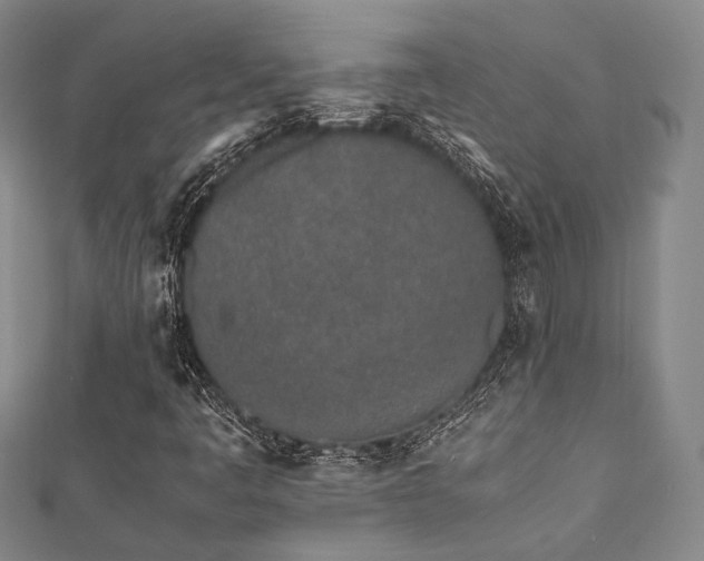 X0000112491445200908171237