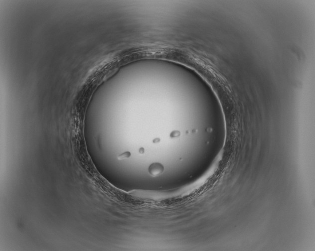 X0000112491447200908171237