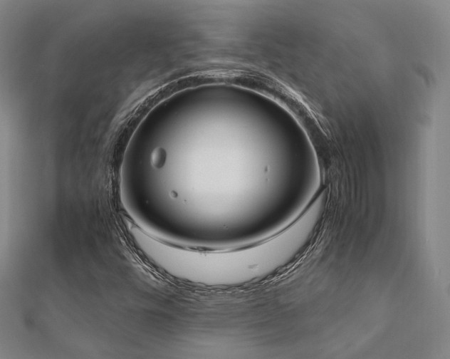 X0000112491448200908171237