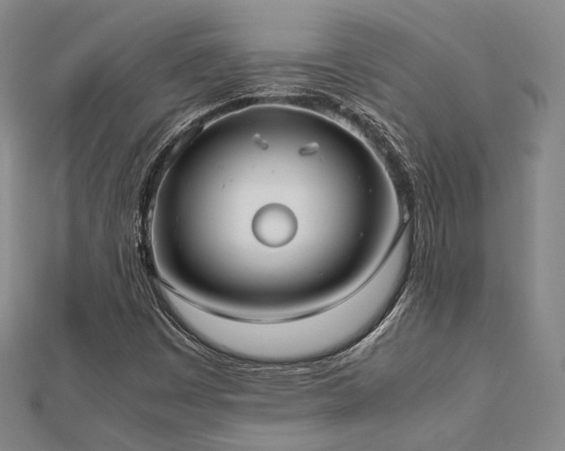 X0000112491449200908171237