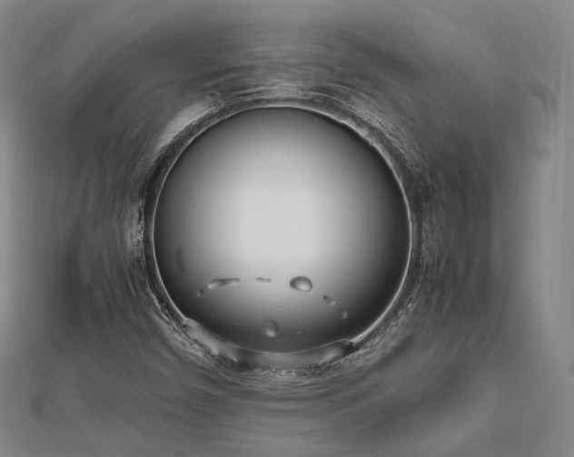 X0000112491450200908171237