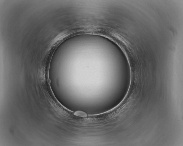 X0000112491451200908171237