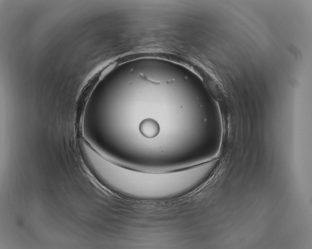X0000112491452200908171237