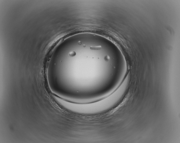 X0000112491453200908171237