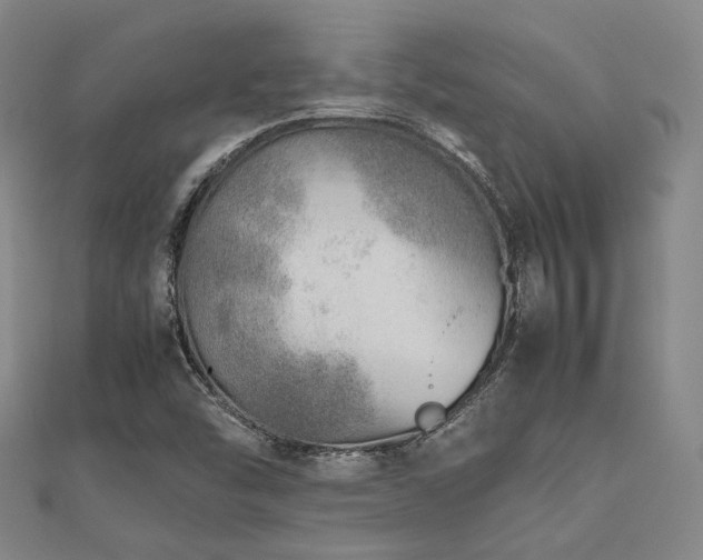 X0000112491454200908171237