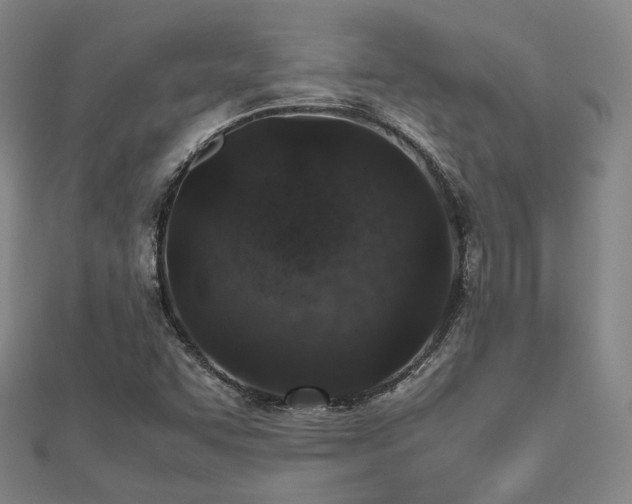 X0000112491455200908171237