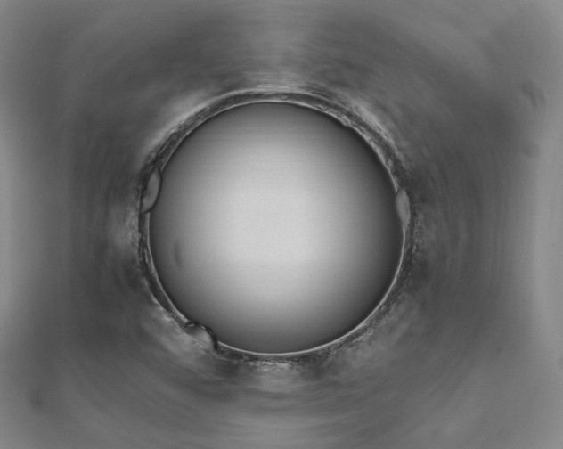 X0000112491456200908171237