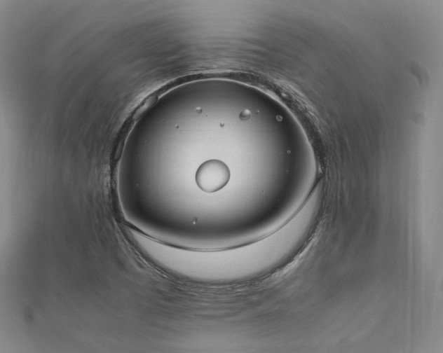 X0000112491457200908171237