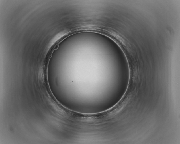X0000112491458200908171237