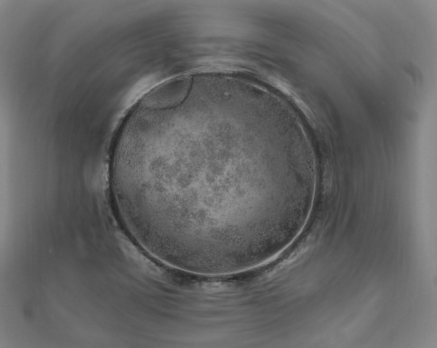 X0000112491459200908171237