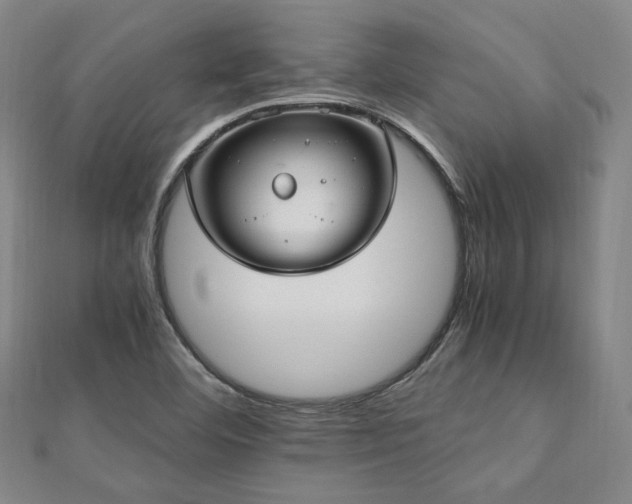 X0000112491460200908171237