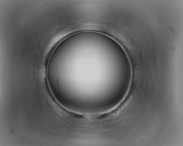 X0000112491461200908171237