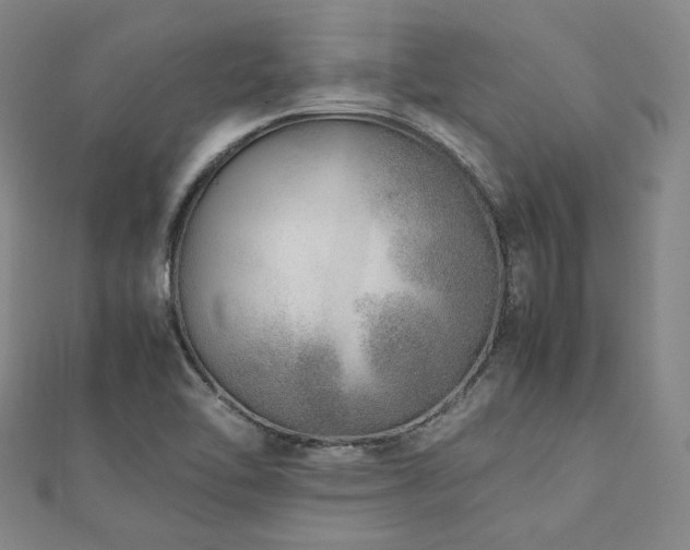 X0000112491462200908171237