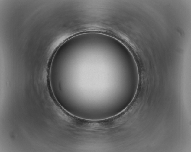 X0000112491463200908171237