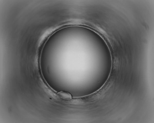 X0000112491464200908171237